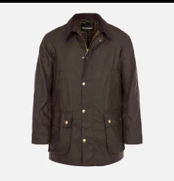 BARBOUR Ashby Jacket Olive* Veste|Coats & Jackets