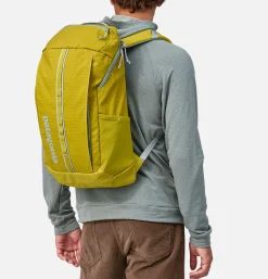 PATAGONIA ACCESSORIES Black Hole Pack 25l SHRG* Backpacks