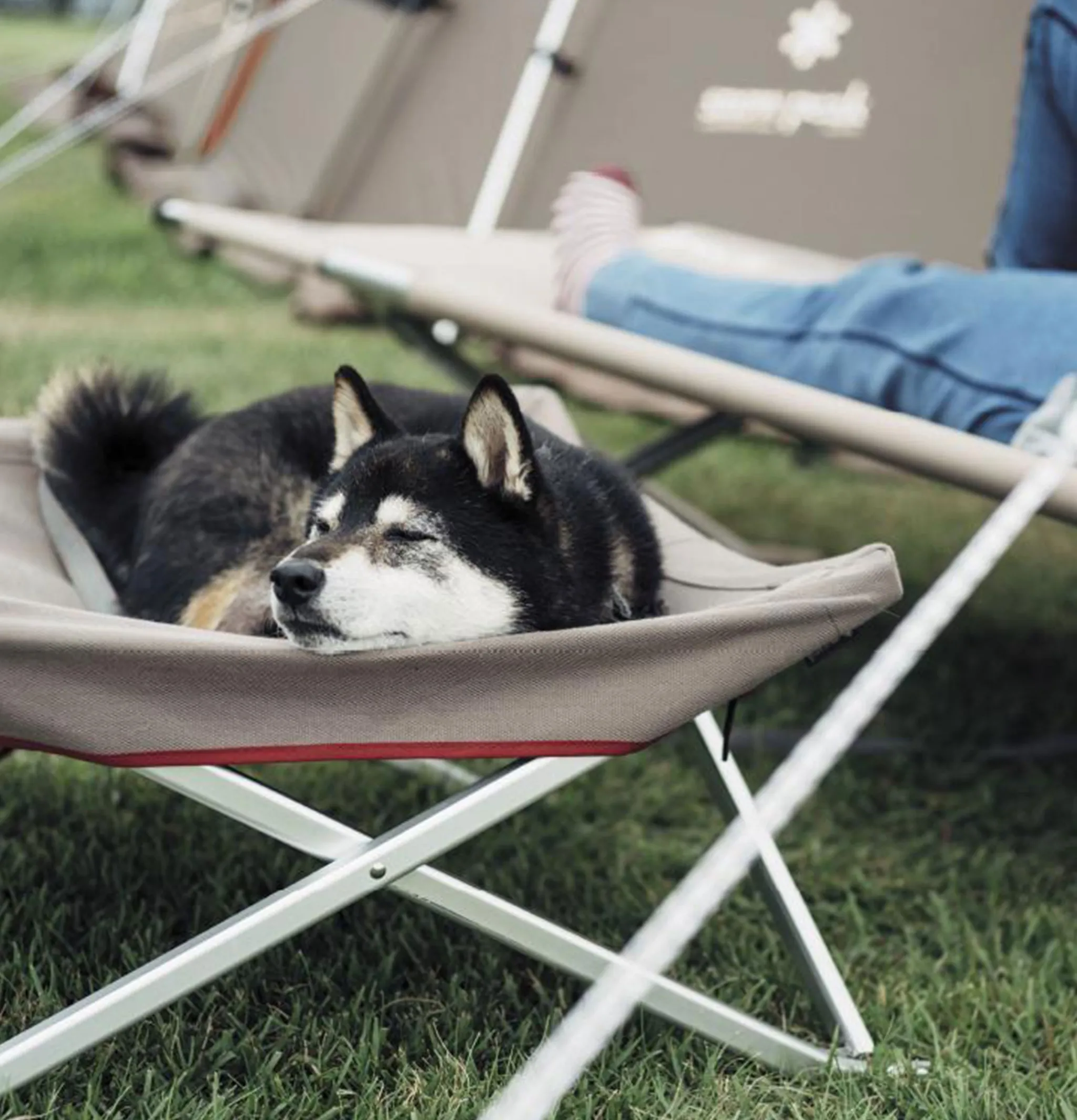 SNOW PEAK Dog Cot Grey* Maison|Outdoor