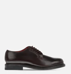 REGAL SHOE & CO Plain-toe Brown Gore-tex* Shoes