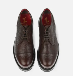 REGAL SHOE & CO Straight-Tip Derby Gore-Tex Dark Brown* Shoes